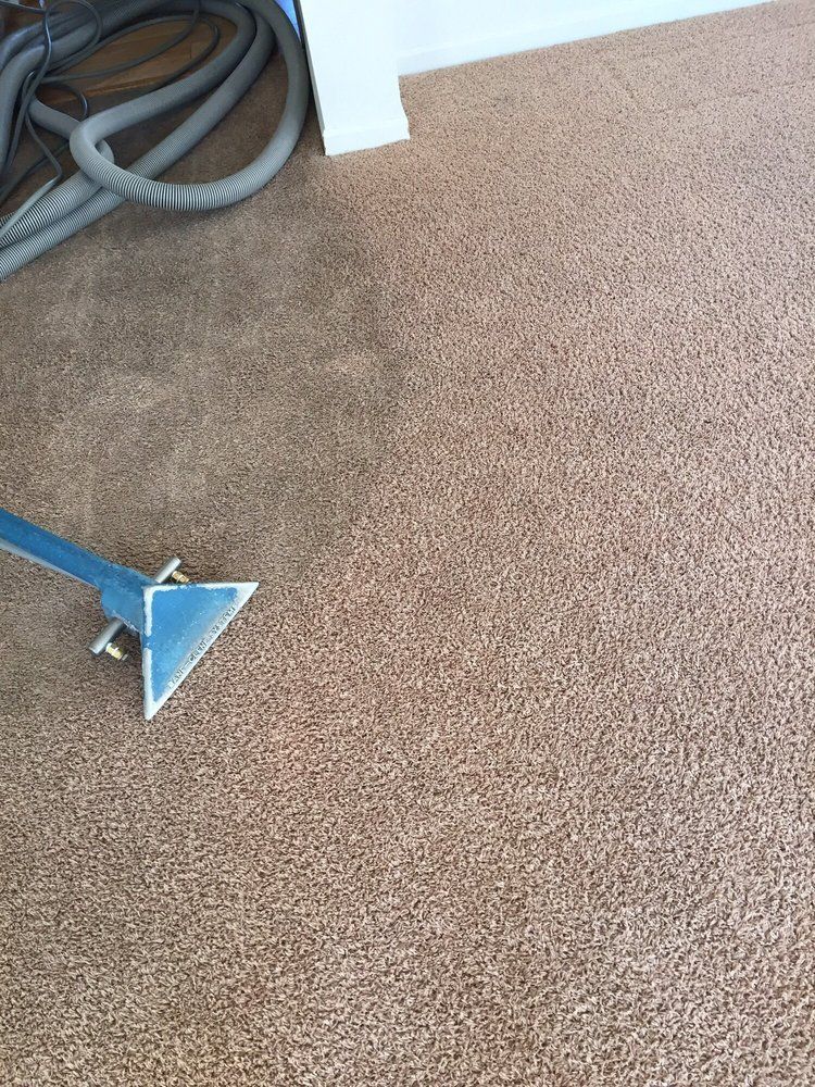 Carpet cleaning