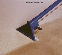 Carpet Cleaning