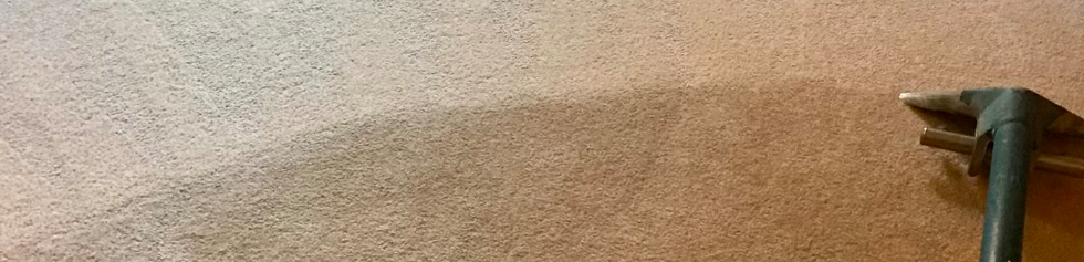 Carpet cleaning