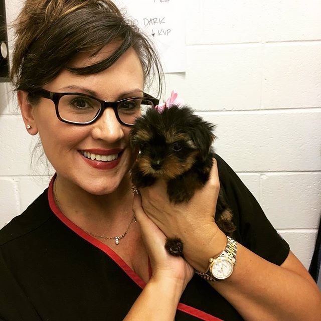 Reviews North Griffin Animal Hospital