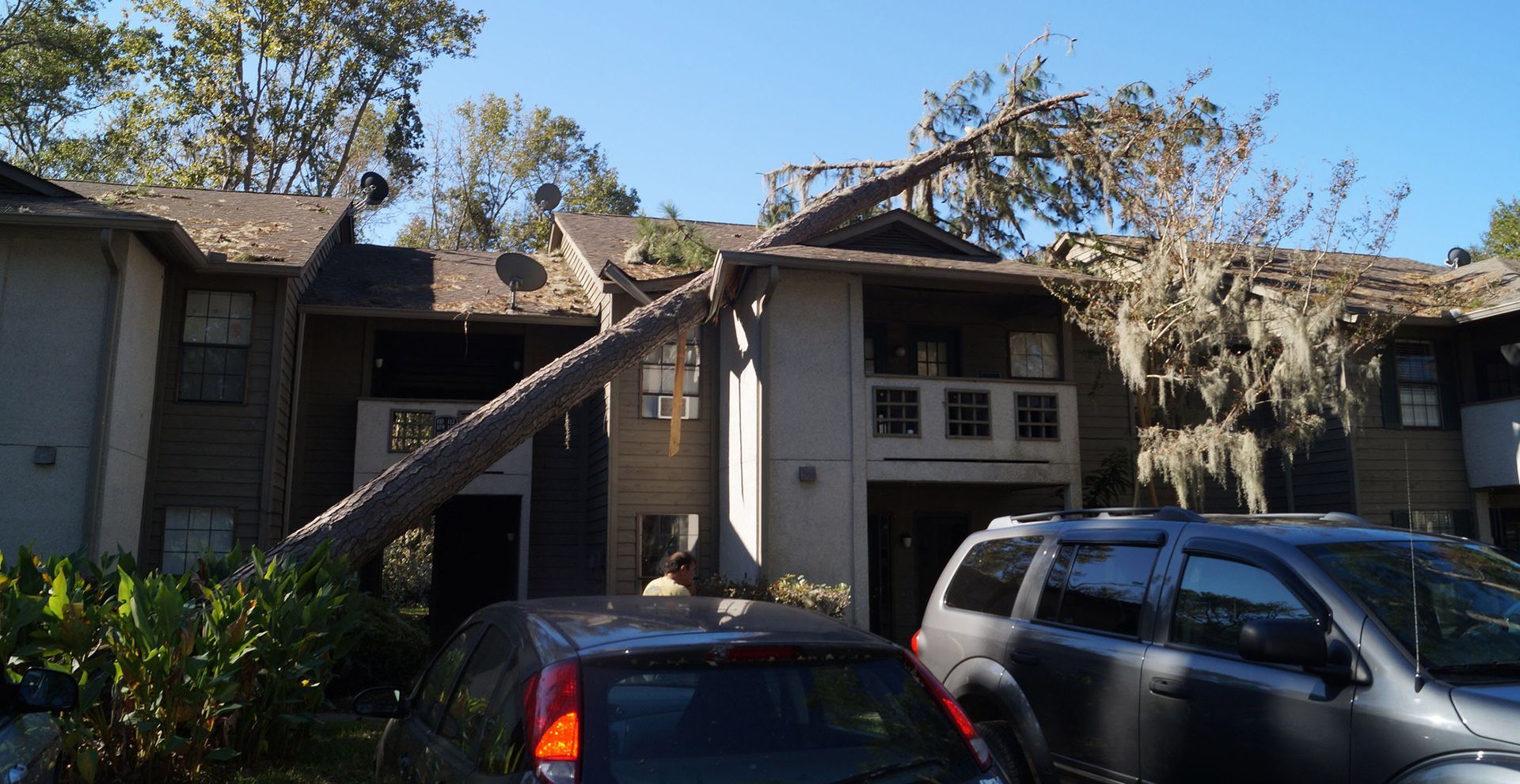 A car is parked in front of a building with a fallen tree on the roof.