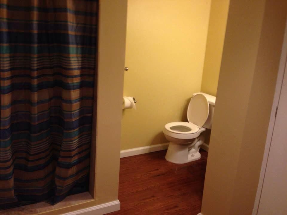 A bathroom with a toilet and a shower curtain
