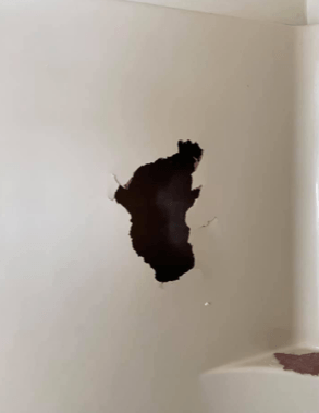 Damaged Bathroom Wall