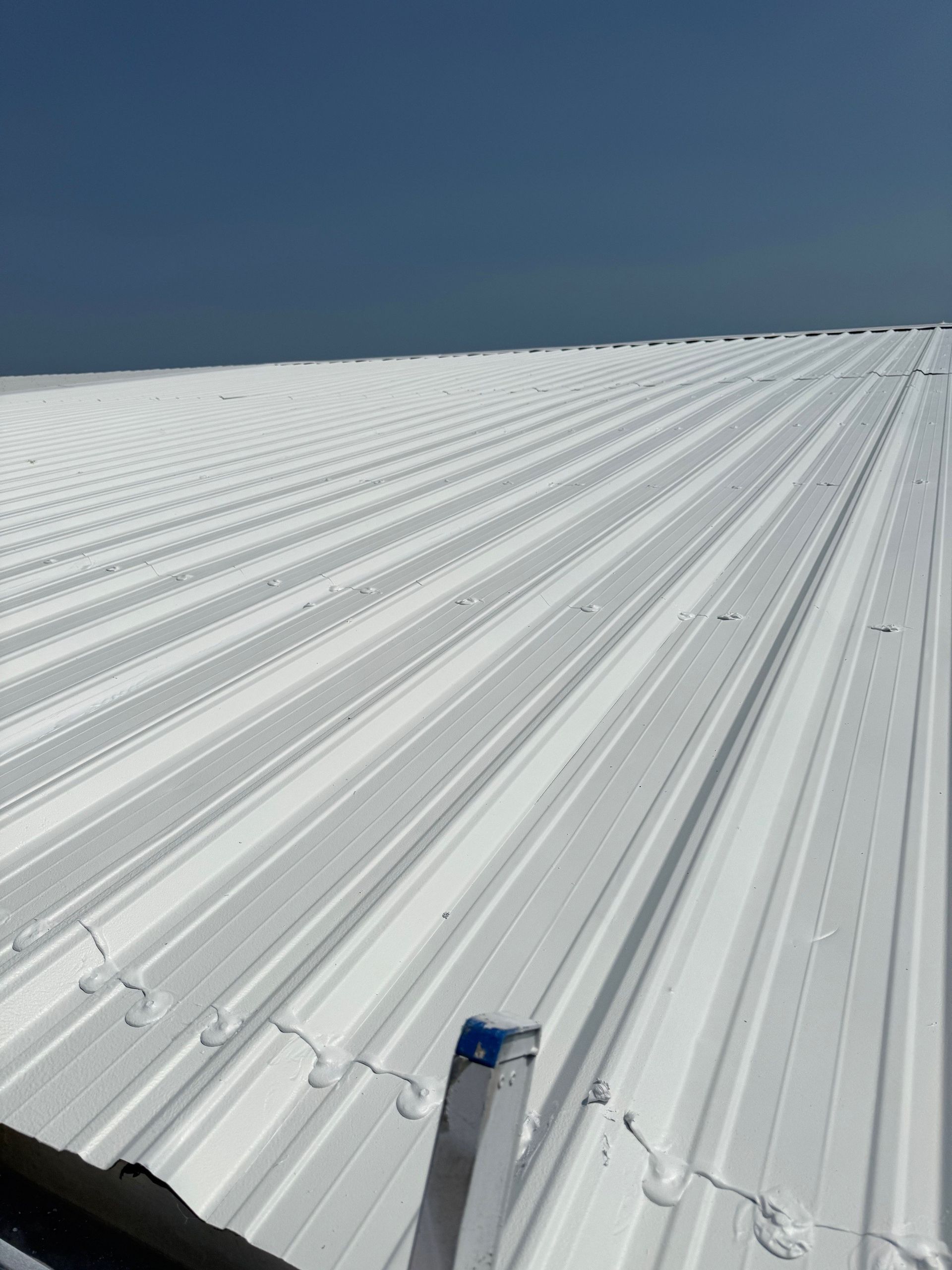 A white, ribbed metal roof stretches toward a clear blue sky, featuring visible sealant around fasteners.