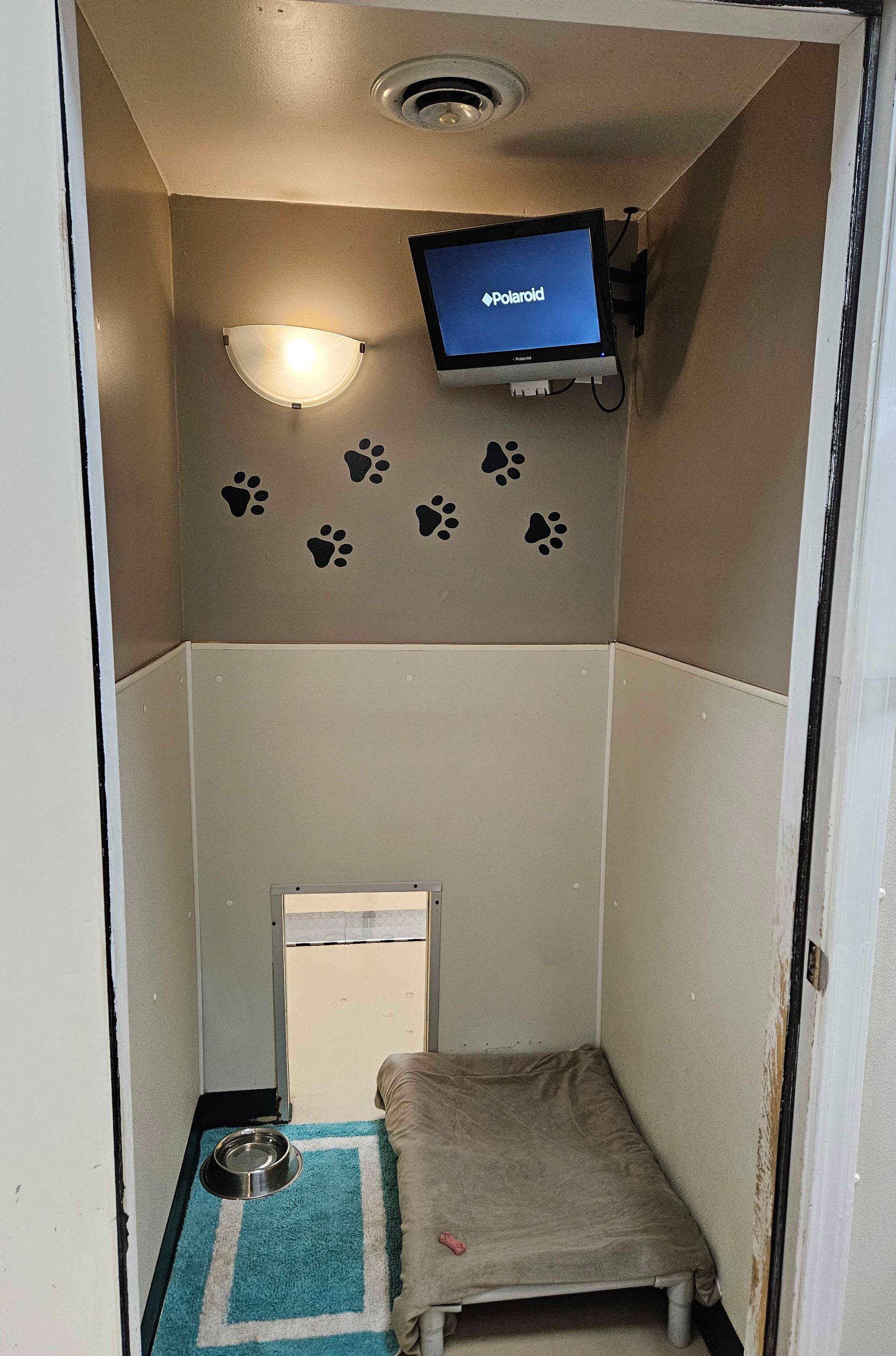 Dog kennel with TV, bed, and paw prints on wall.