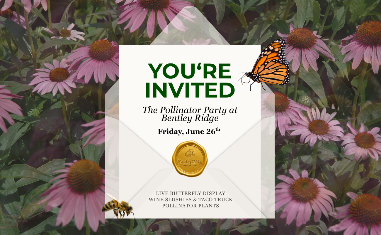 Pollinator Party