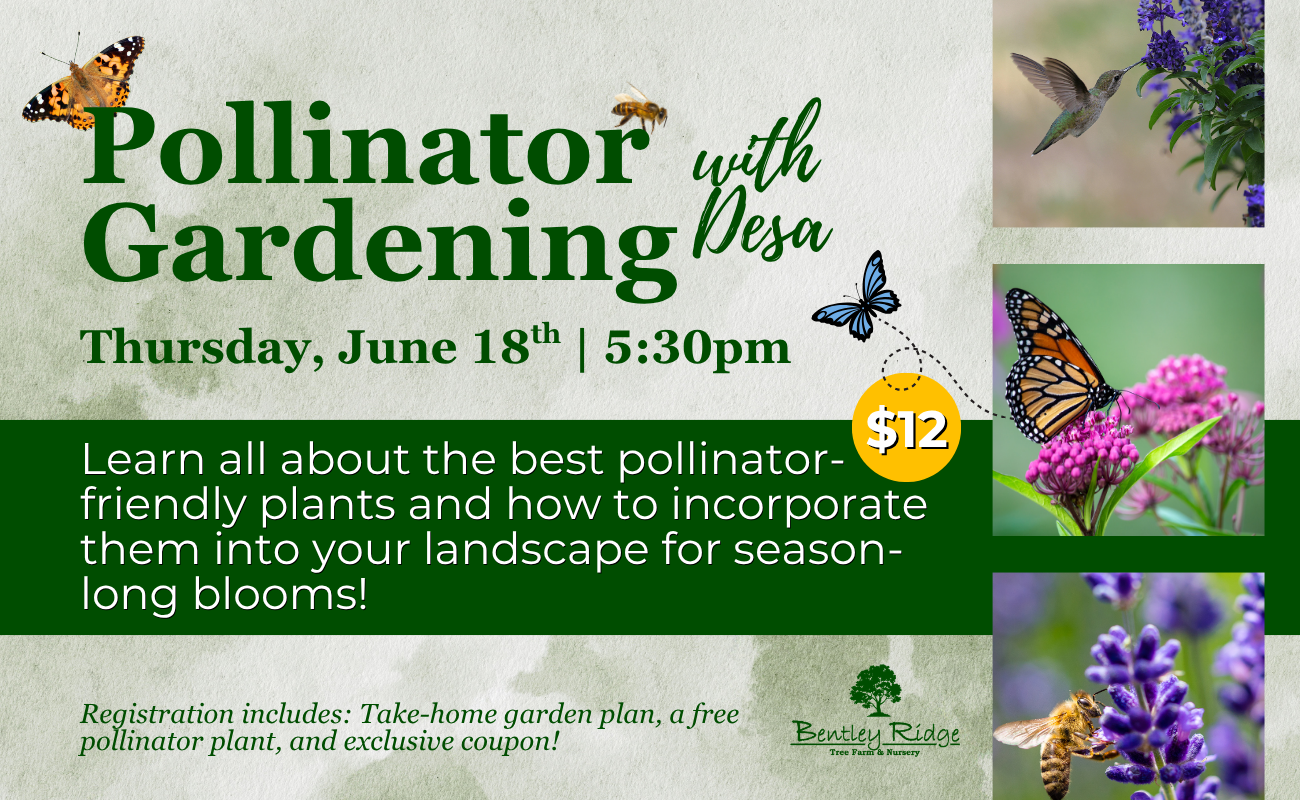 Pollinator Gardening