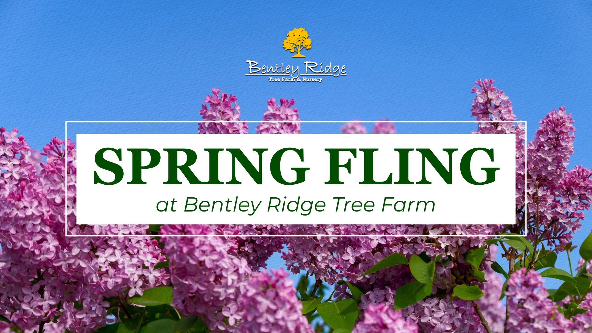 Spring Fling at Bentley Ridge