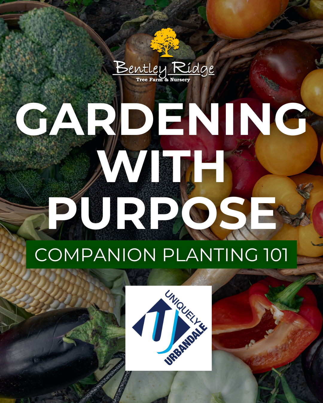 Companion Planting