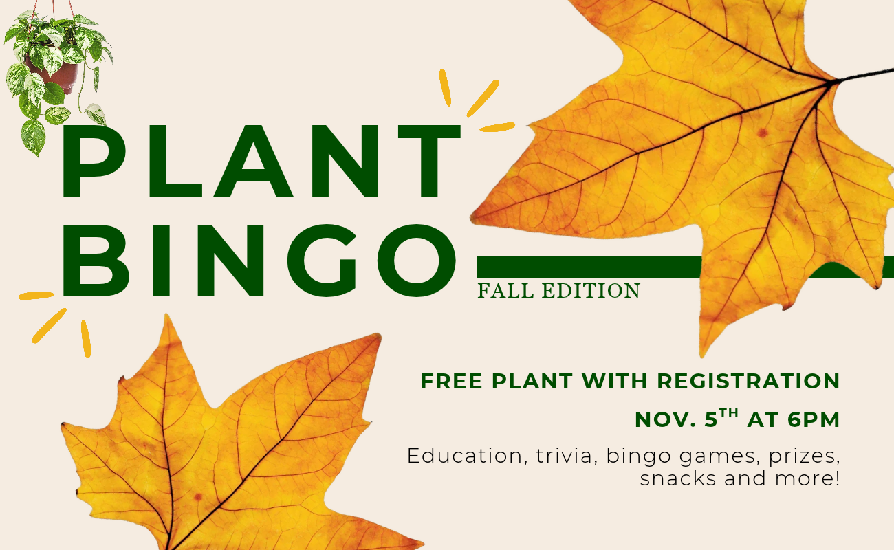 Fall Plant Bingo