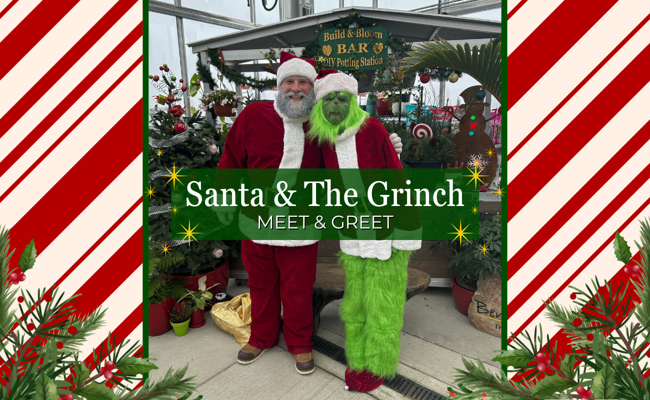 Santa and the grinch meet and greet at Bentley Ridge