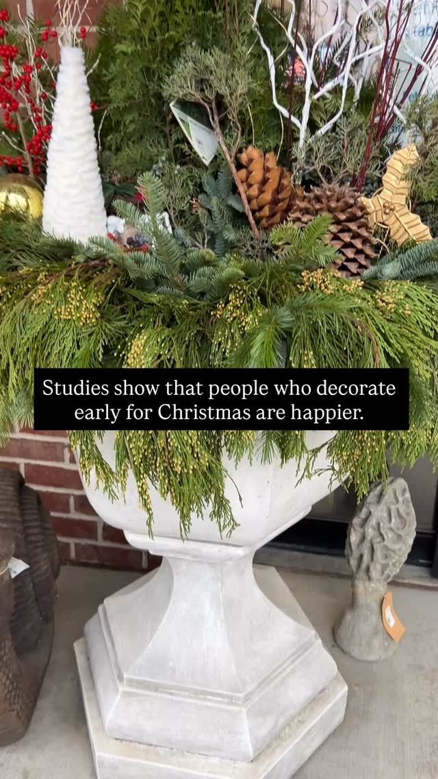 A decorated Christmas planter with text overlay stating early decorators are happier.