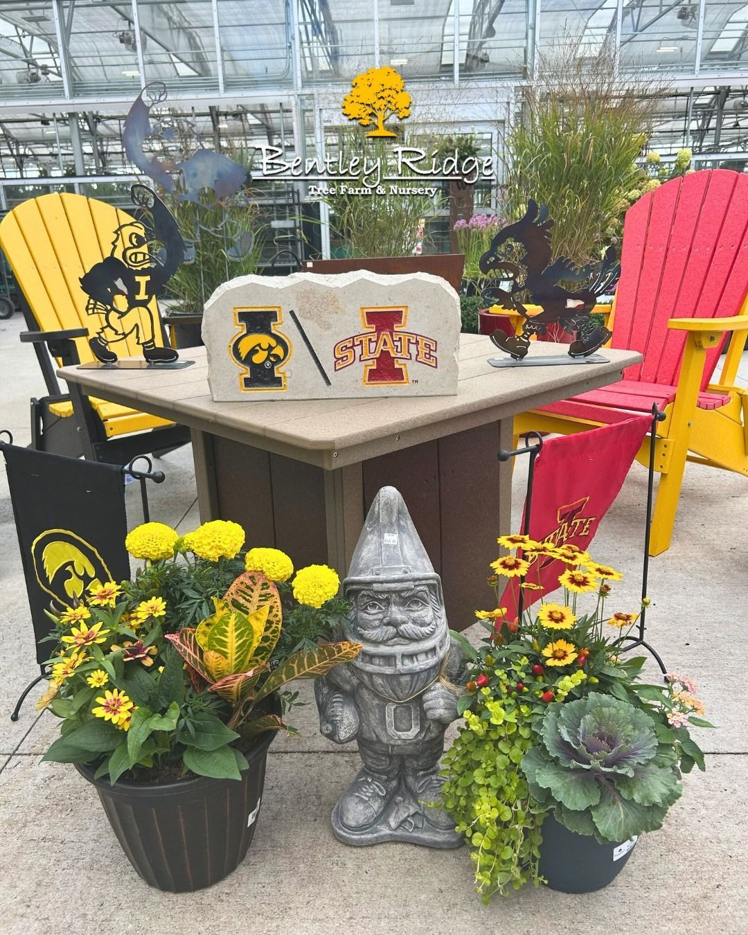 Display of Iowa Hawkeyes and Iowa State Cyclones decor at a garden center, featuring chairs, a table, and plants.