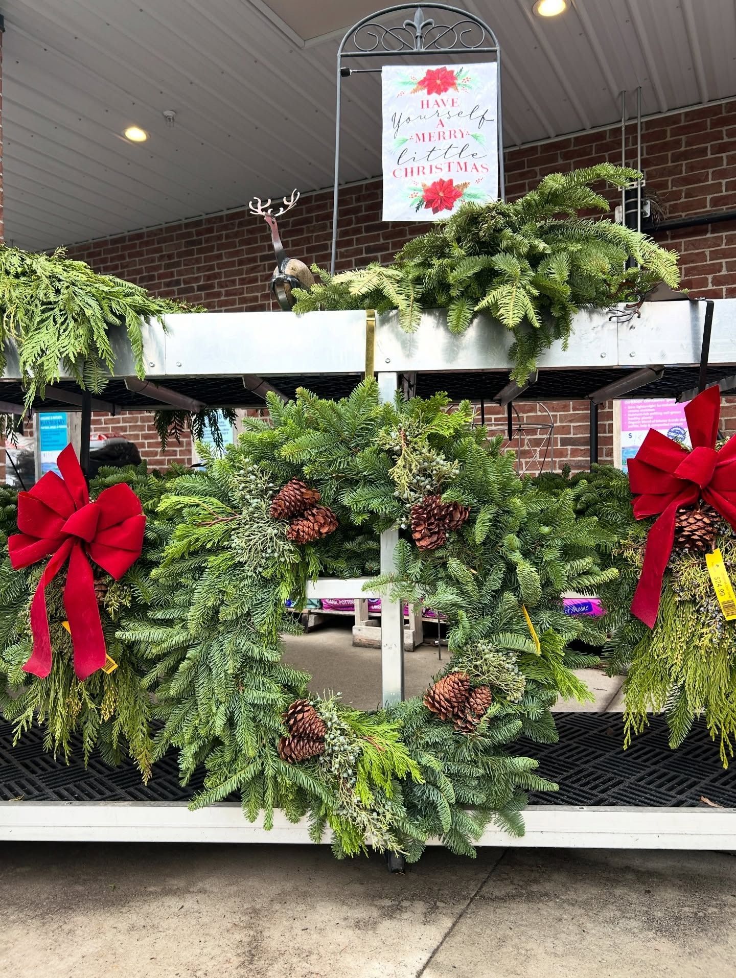 Christmas wreaths for sale, displayed on shelves outdoors, with red bows and pine cones.