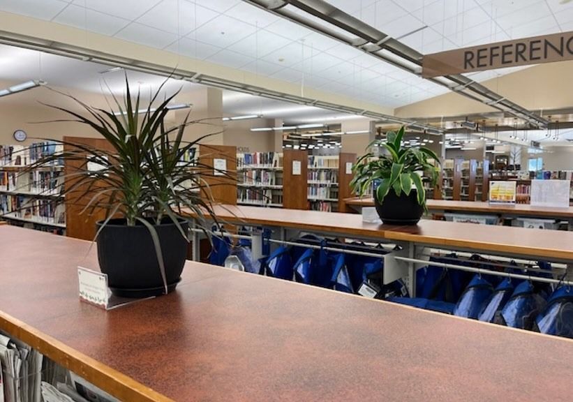 Library interior with brown tables, shelves, plants, and a 