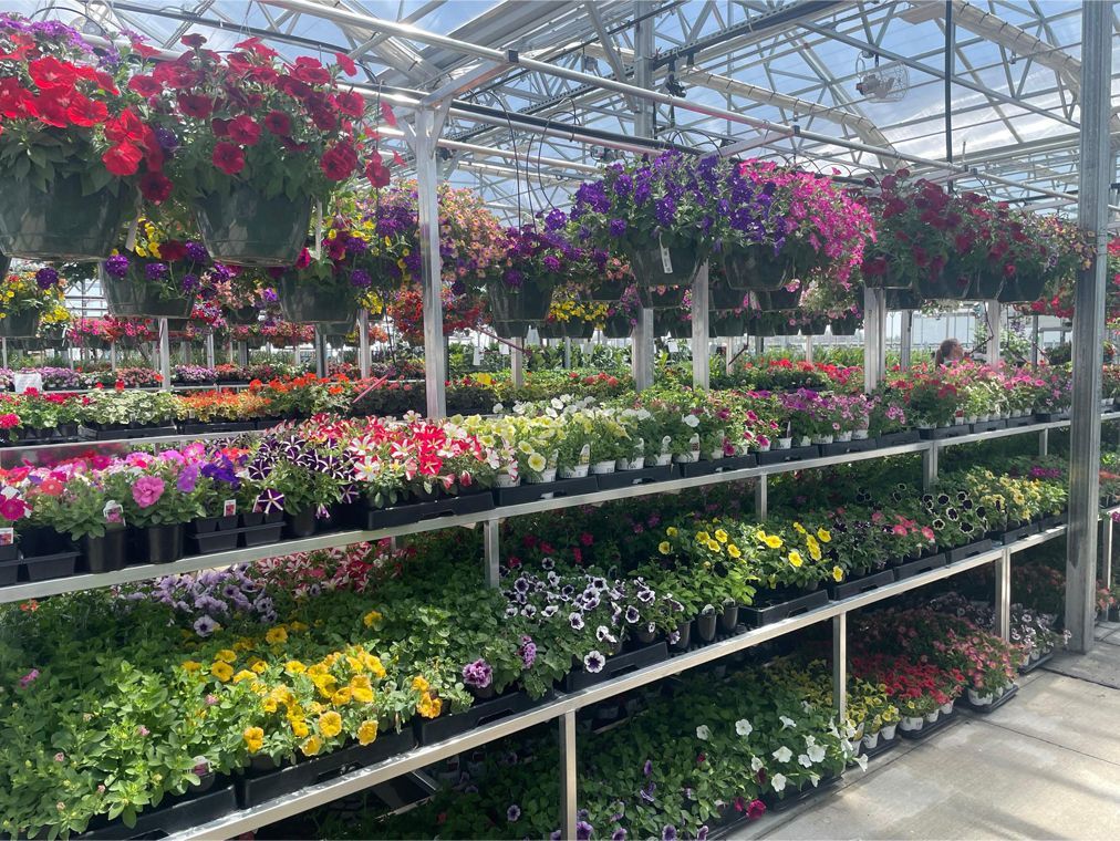 Bentley Ridge Tree Farm