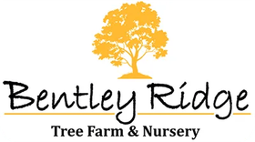Bentley Ridge Tree Farm