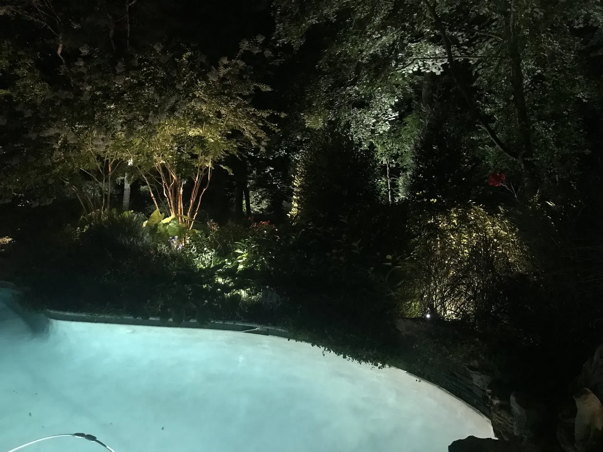 Nighttime pool with illuminated landscaping and trees. Blue water reflects surrounding lights.