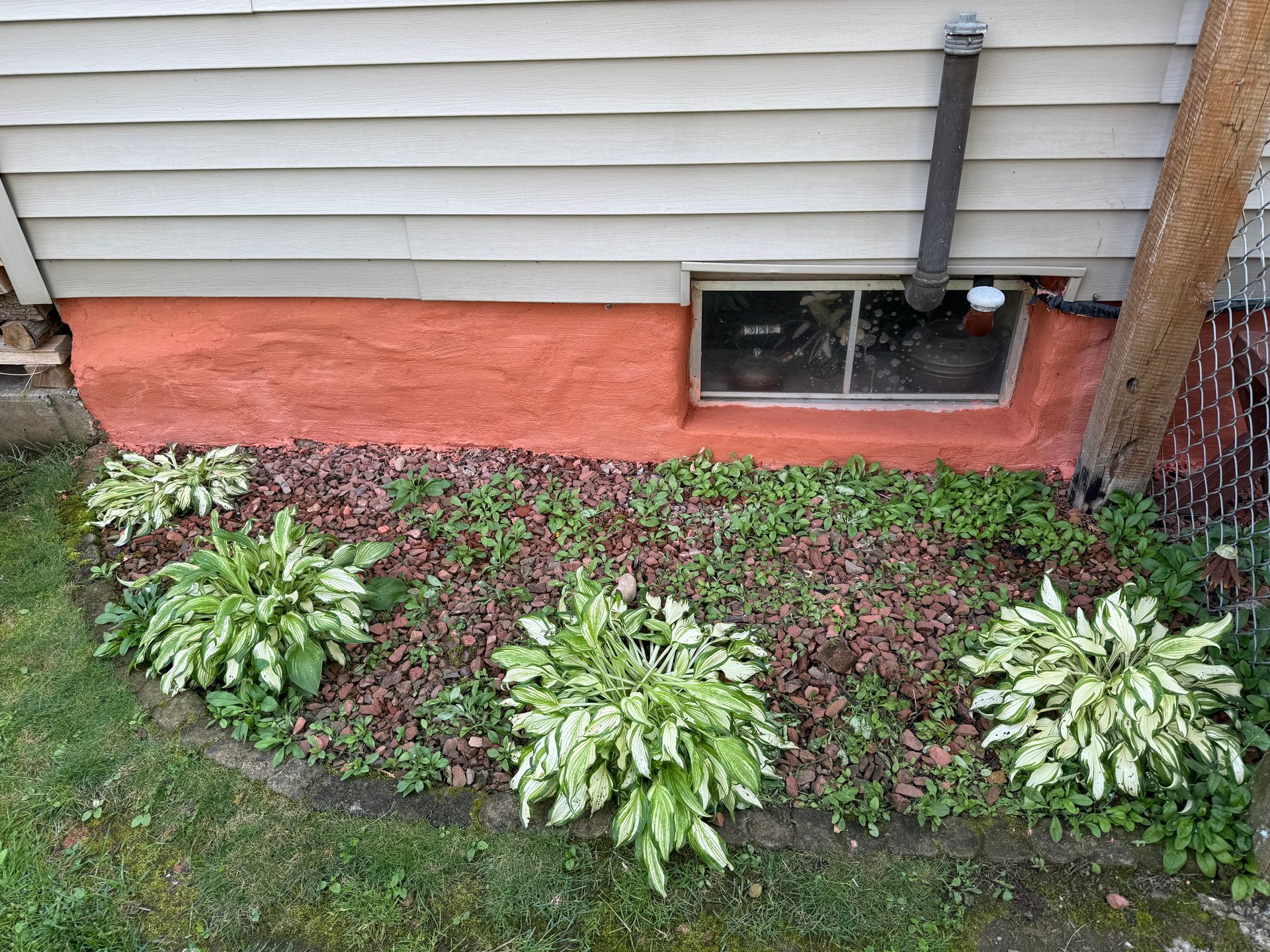 Hostas and ground cover plants in a bed at the base of a red-painted house exterior.