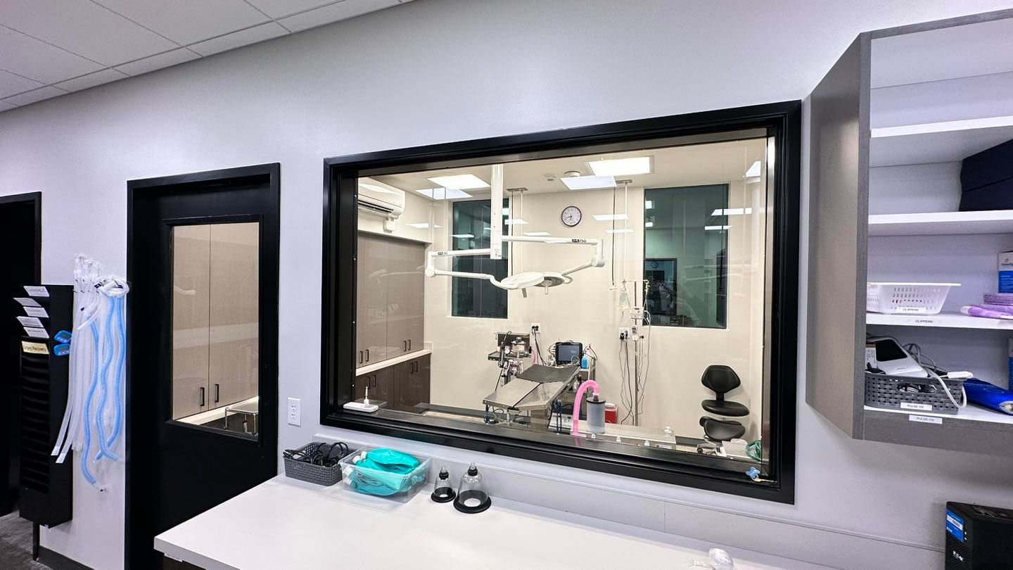 A vet's surgery room seen through a large window. The room is white with medical equipment, viewed from a waiting area with a counter.