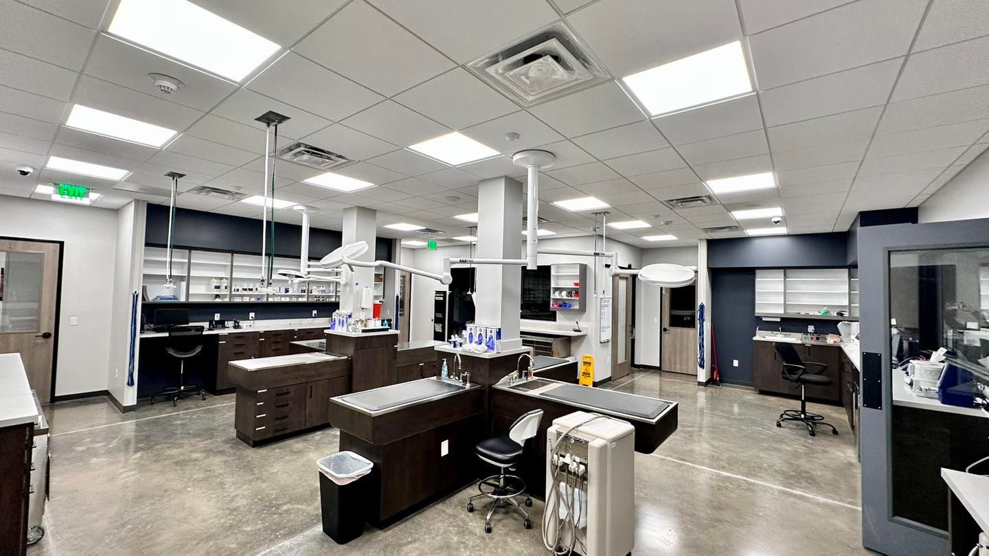 Interior of a modern veterinary clinic. Exam tables, cabinets, and overhead lighting are present. The room has a clean, professional appearance.