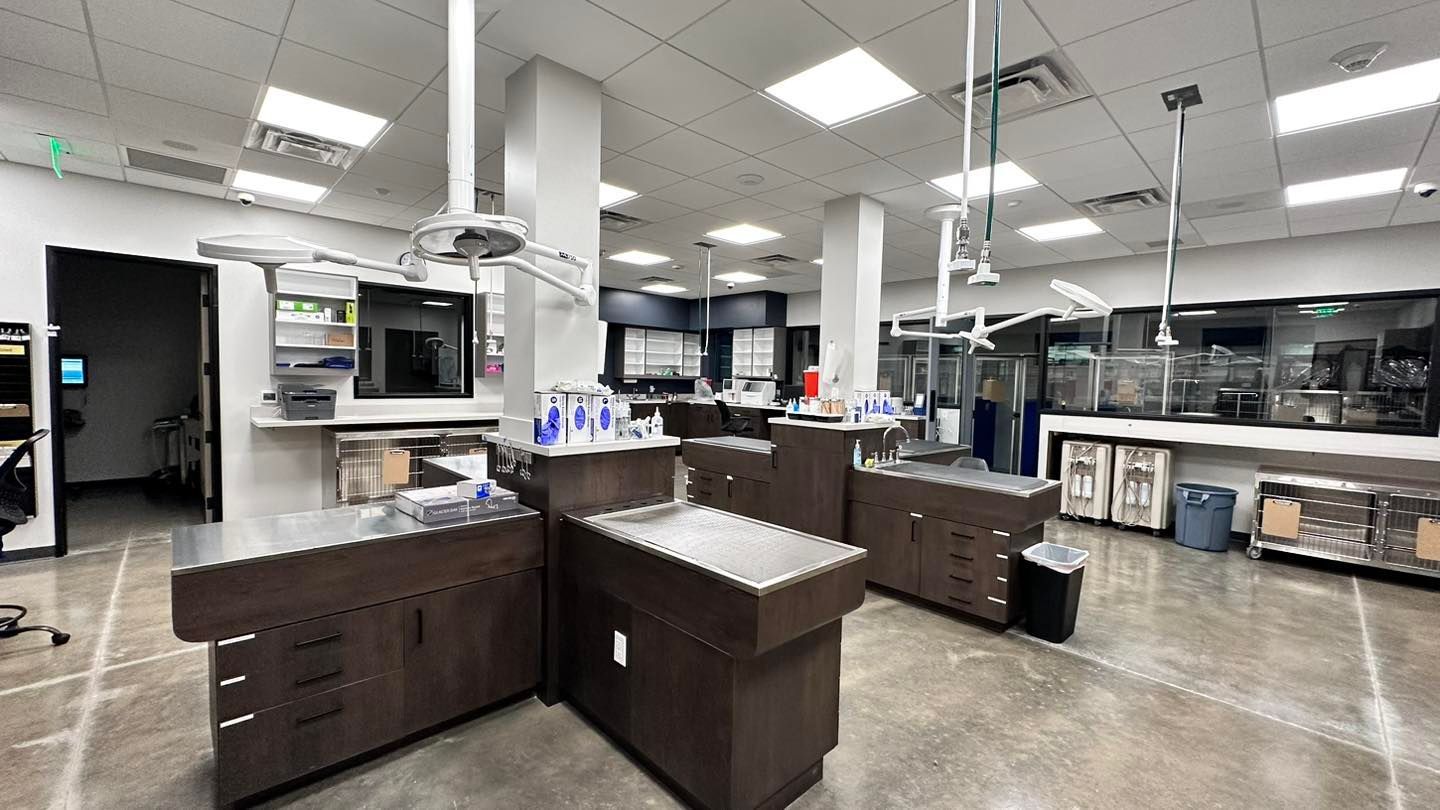 An interior shot of a veterinary clinic. Exam tables, cabinets, and surgical equipment are visible in the brightly lit space.