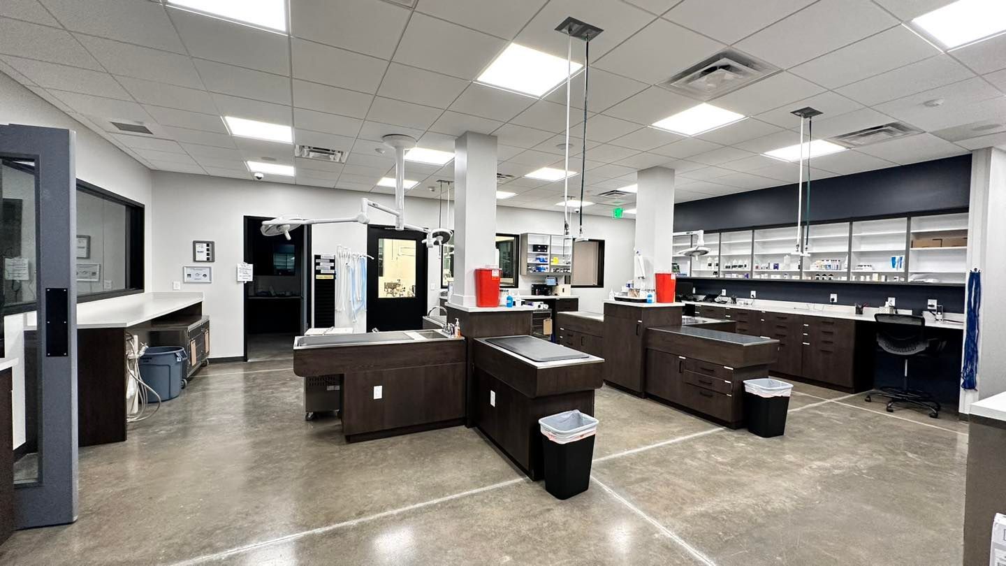 A veterinary clinic interior with examination tables, cabinets, and equipment. The room has bright lighting and a polished concrete floor.