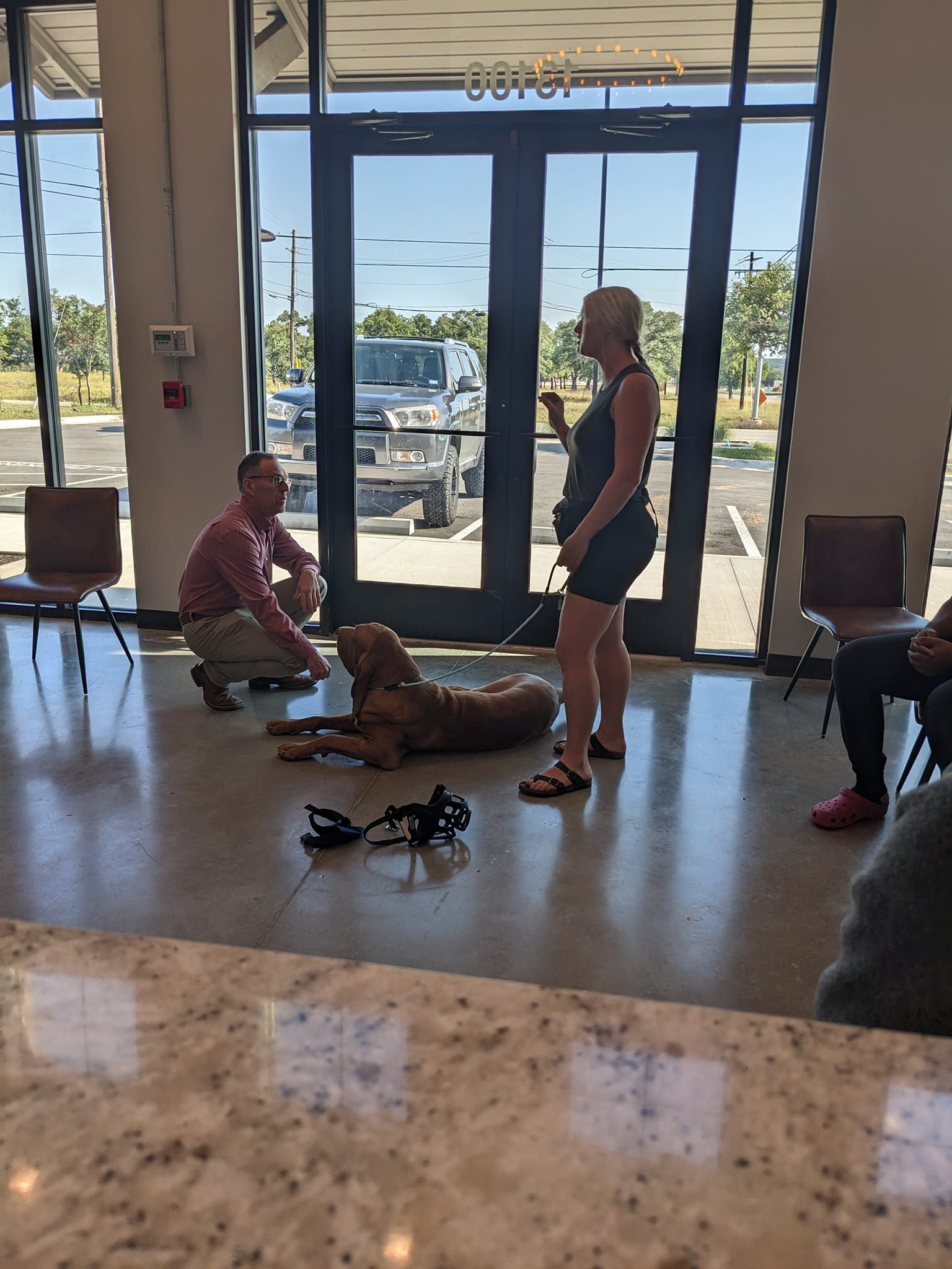 A woman addresses a dog and a man during a training session in a building with large windows. The dog is lying on the floor.