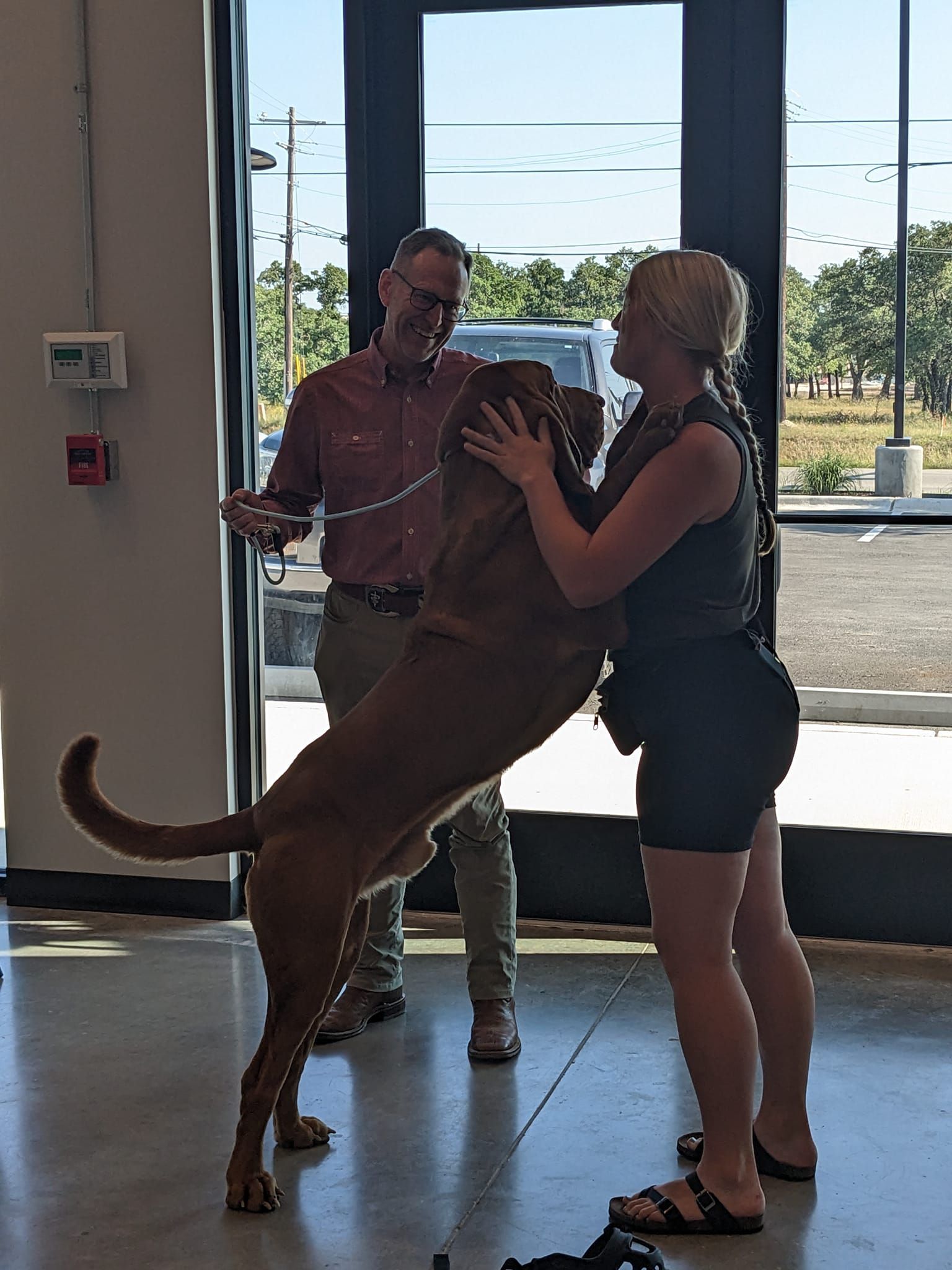 A woman embraces a large brown dog as it stands on its hind legs; a man holds the leash, smiling. Indoors, bright lighting.