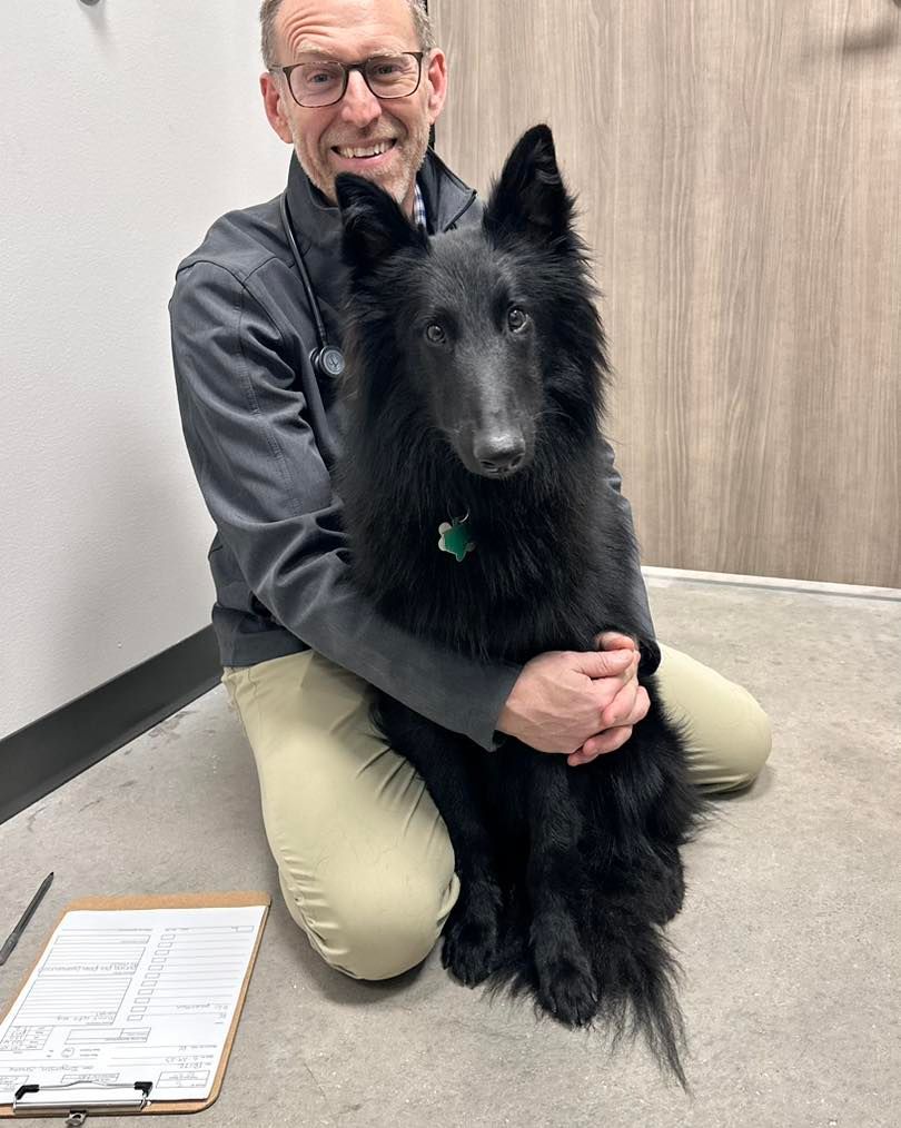 Veterinarian kneels, holding a black Belgian Shepherd dog in an exam room. Both are looking at the camera.