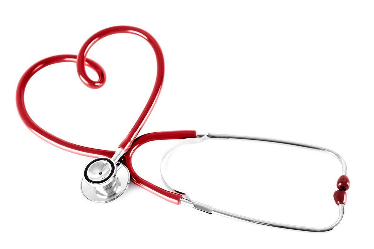 local animal hospitals