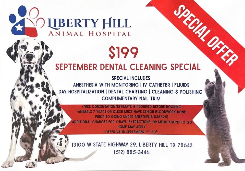 Liberty Hill Animal Hospital dental cleaning special poster with dog and cat, $199 offer, September special