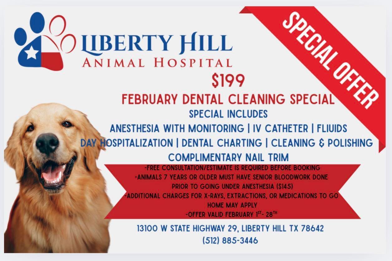 Advertisement for Liberty Hill Animal Hospital dental cleaning special for $199. Includes services for dogs.