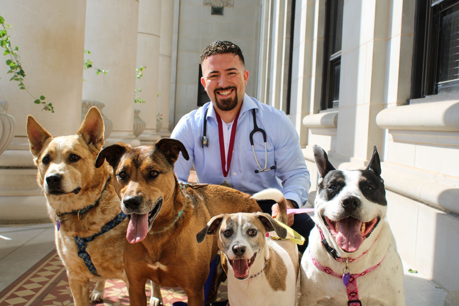 Dr. Amanda Brown