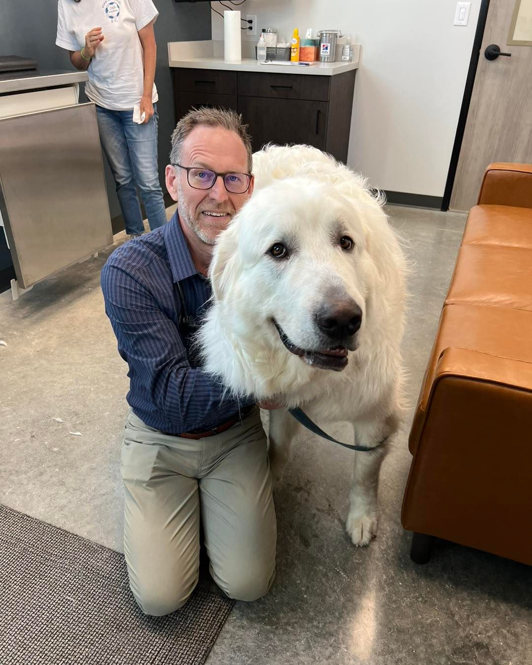 White Great Pyrenees dog
