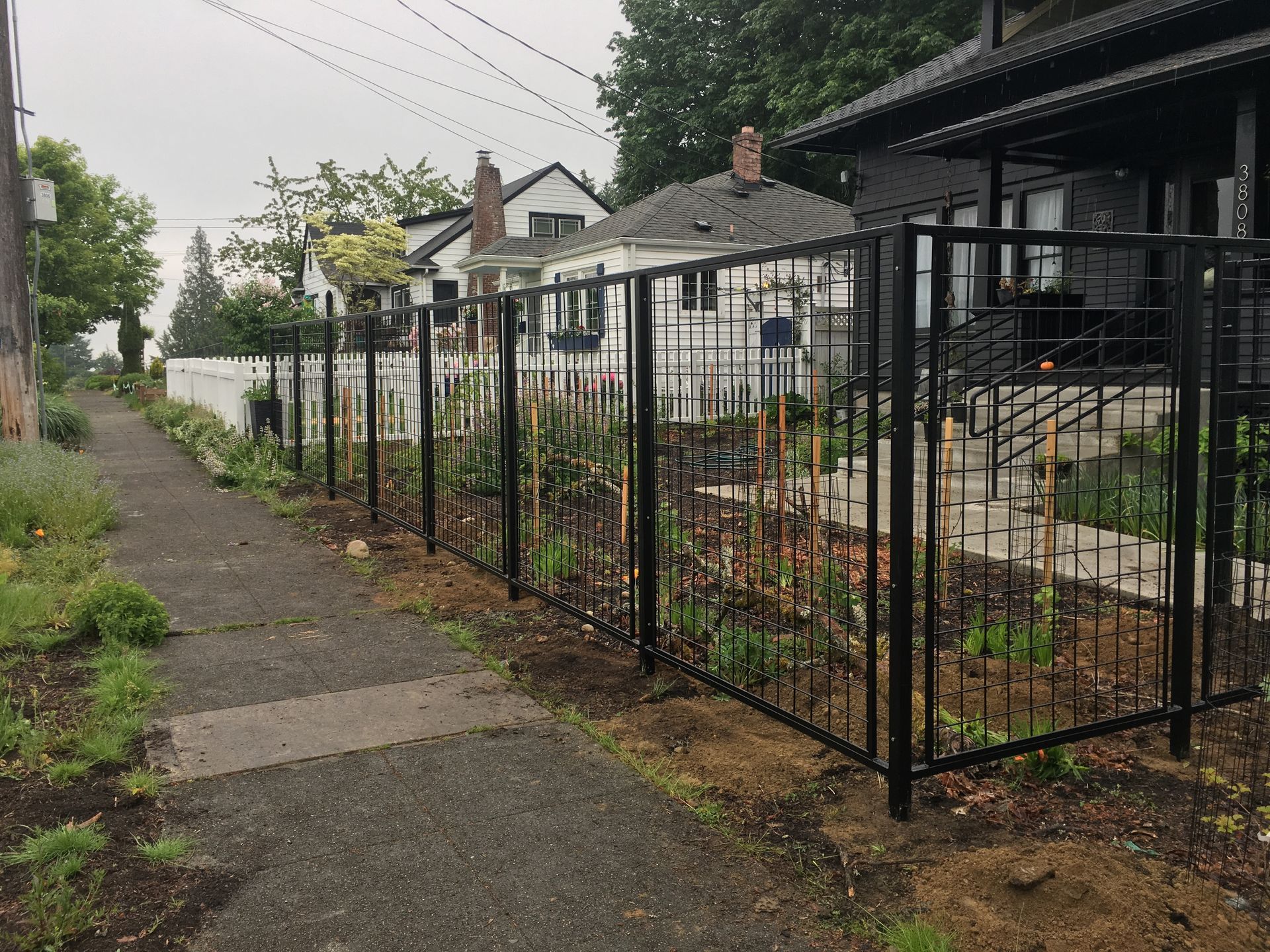 A black metal fence surrounds a garden next to a sidewalk and a house.