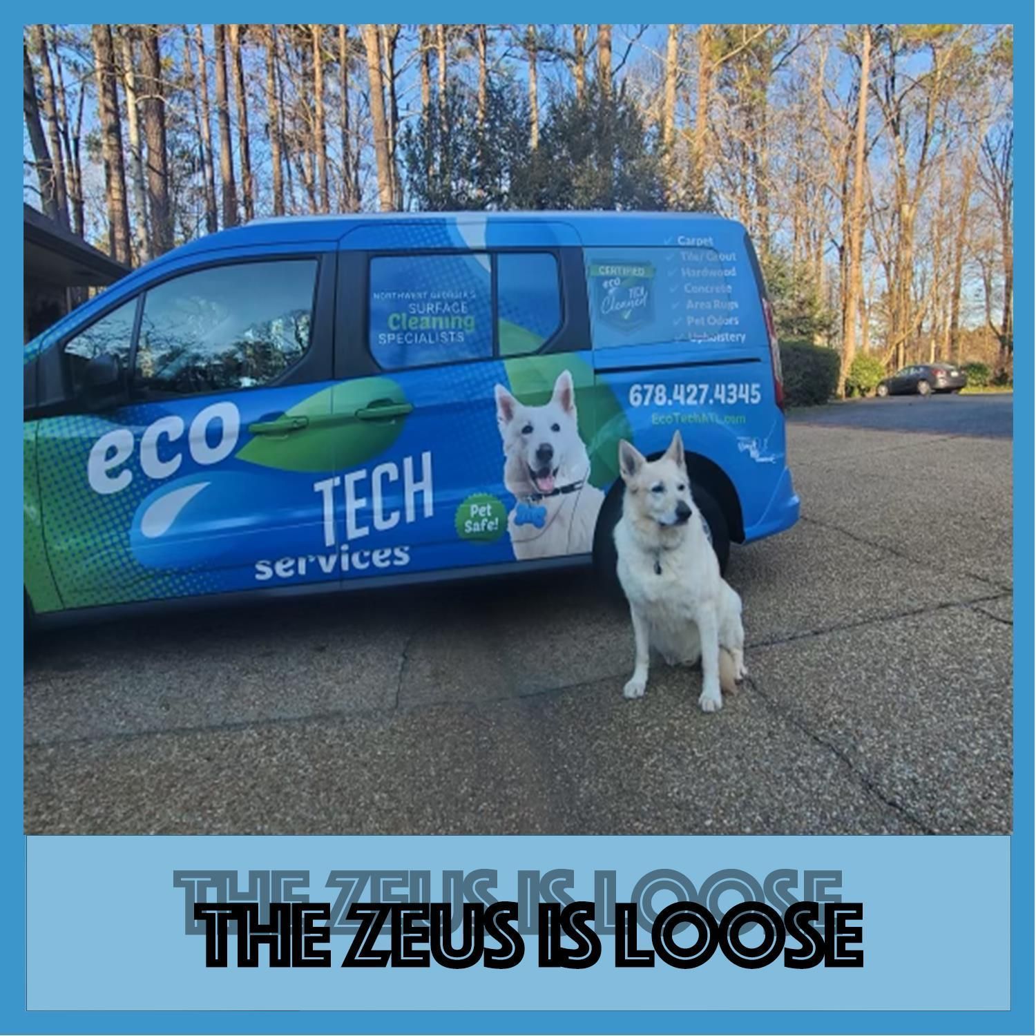 A dog standing in front of a van that says eco tech services