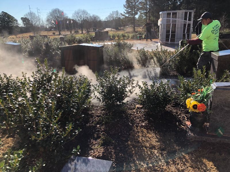 A man in a green shirt is spraying plants in a garden