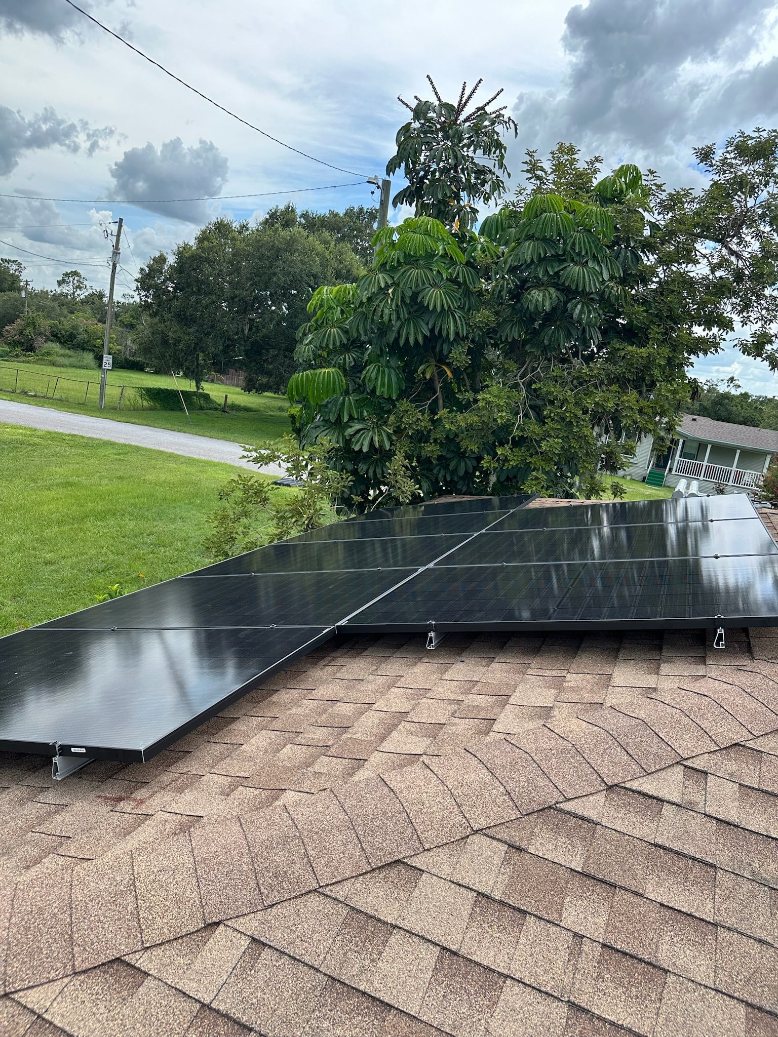 Glossy black solar panels on a shingled roof beside a leafy tree under cloudy sky.