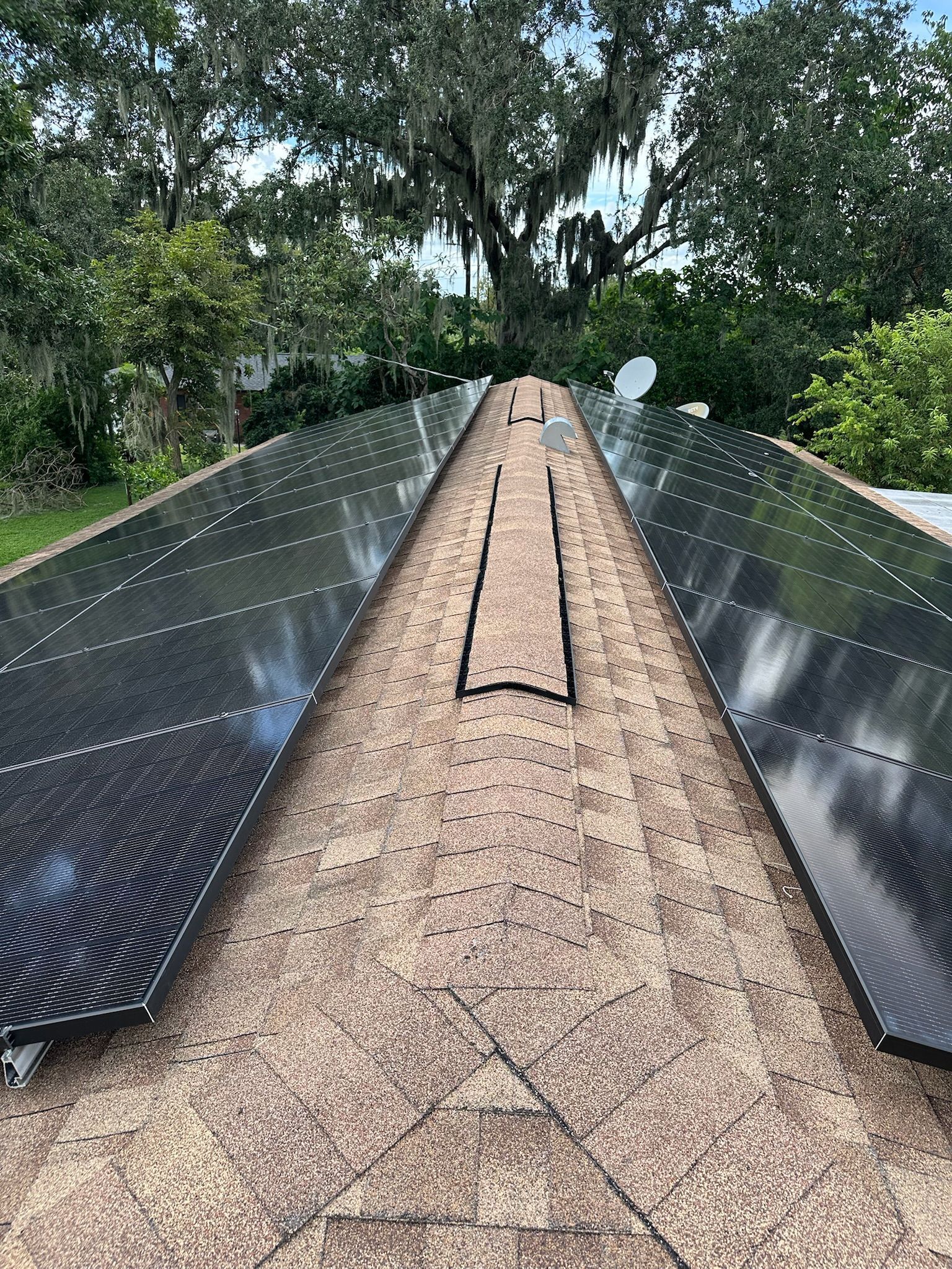 Two solar panel arrays line a gravel path under trees, viewed from the center walkway.