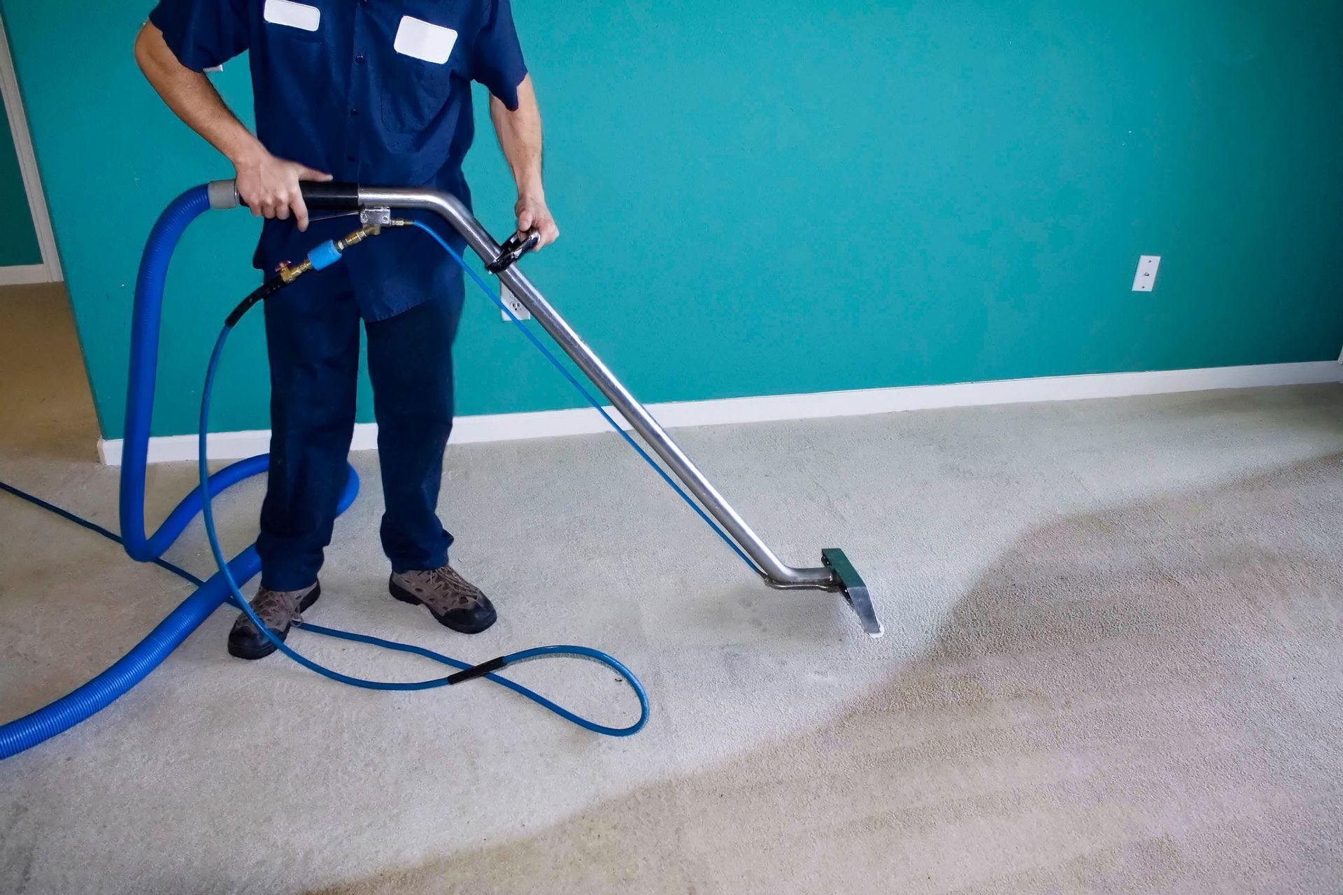 carpet cleaning company