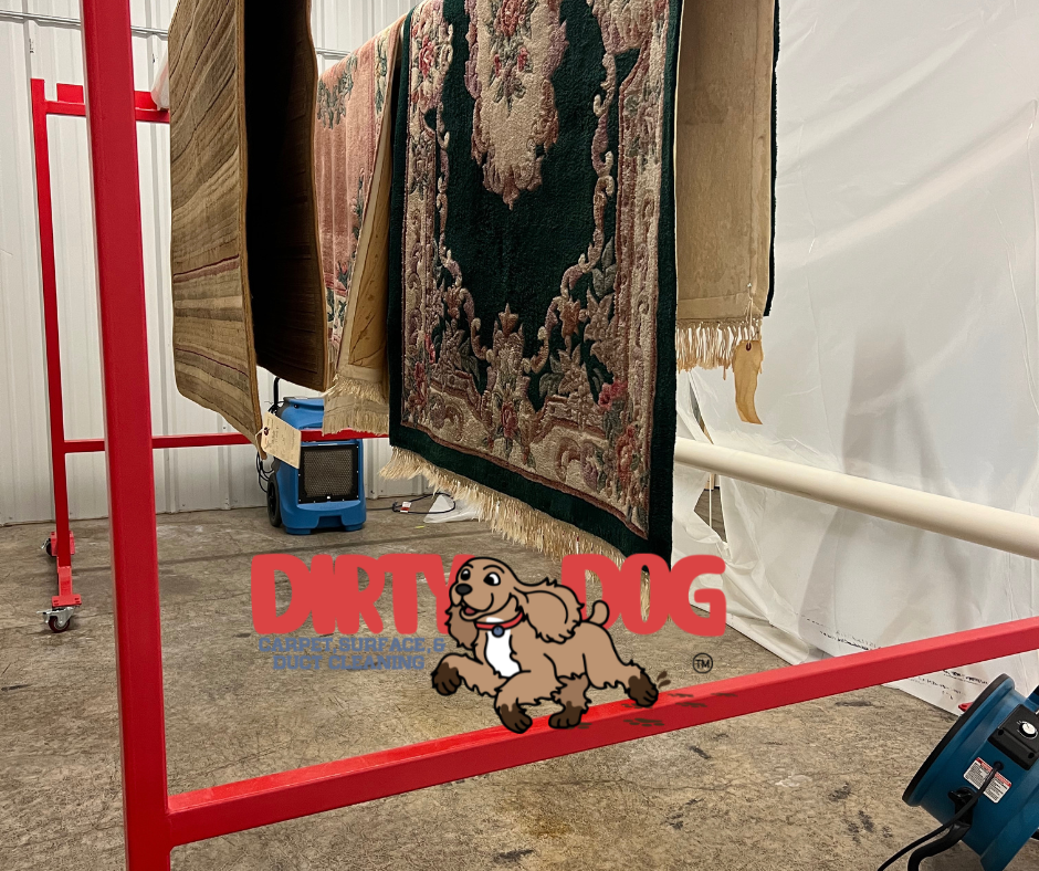 Rug rack cleaning