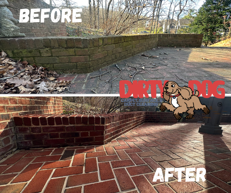 Before and After cleaning