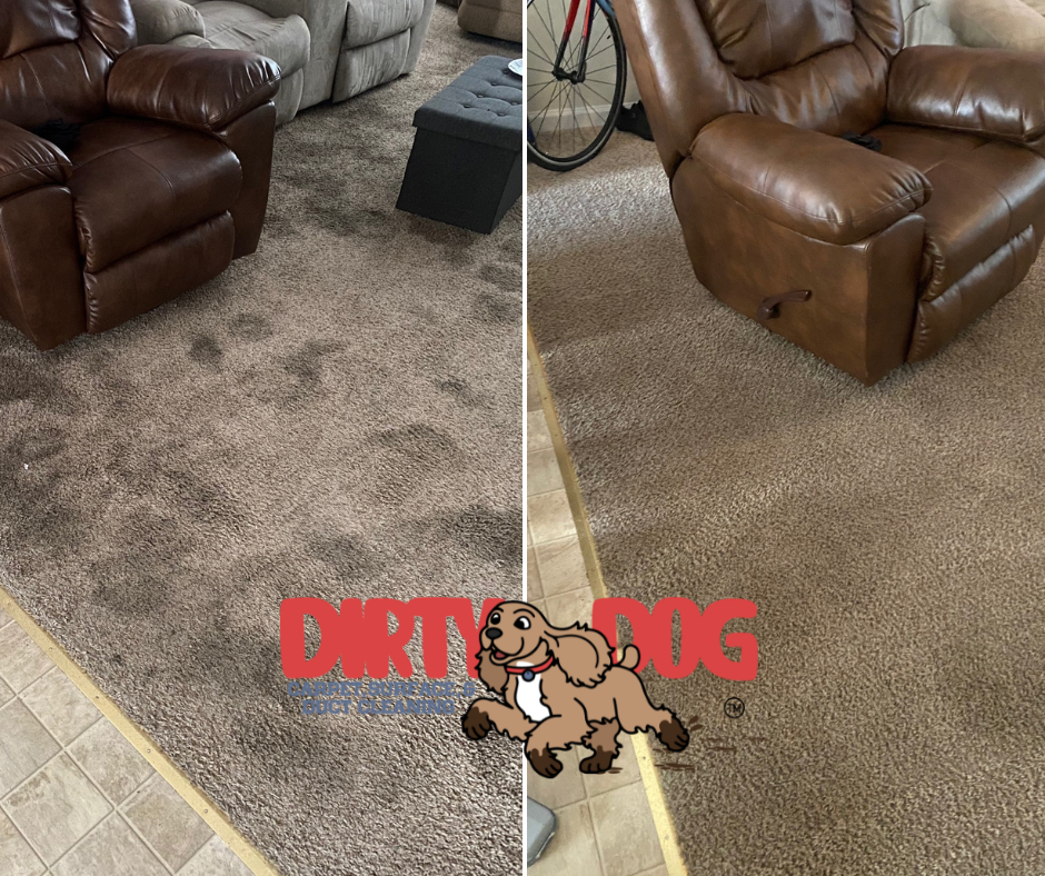 A before and after picture of a dirty dog rug