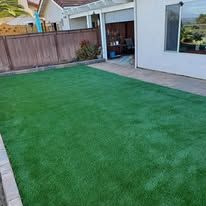 A backyard with a lot of green grass and a house in the background.