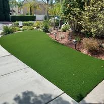 A lawn with a lot of grass and trees in a yard.