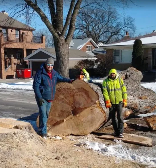 Two workers stand beside a freshly cut tree trunk in a snowy suburban yard.