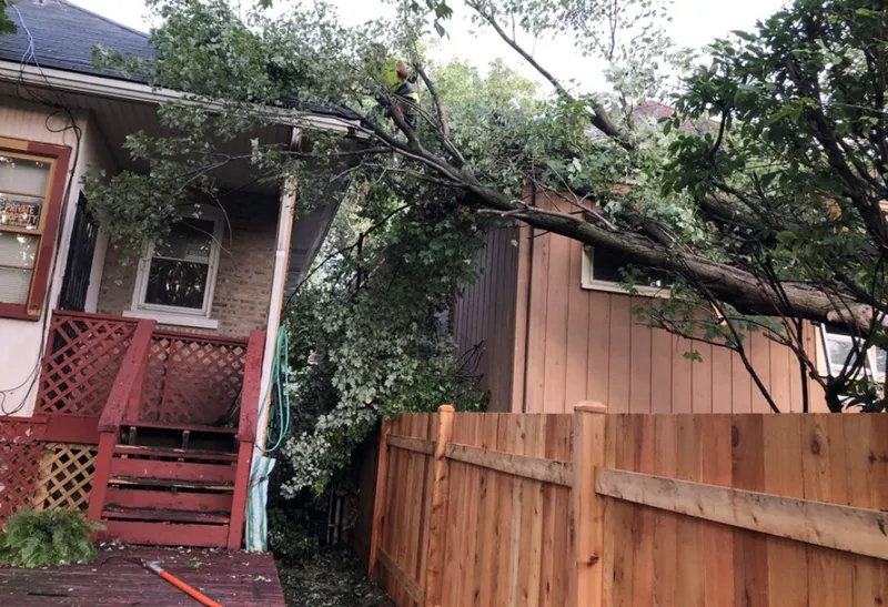 Large tree branch fallen across a backyard fence beside a house and red porch steps