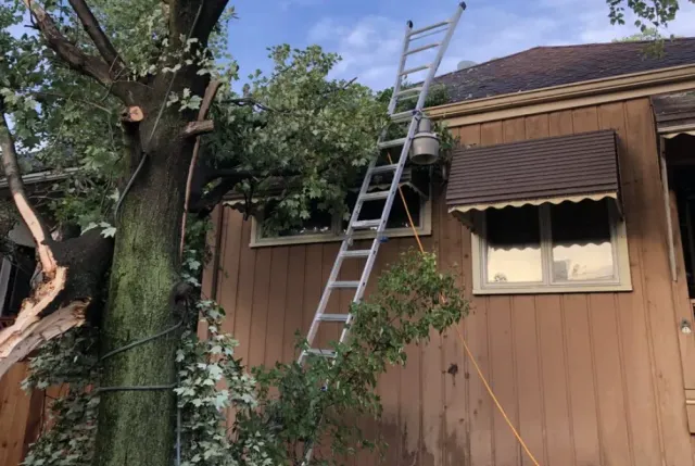 Ladder leaning against a wooden house beside a large tree after storm damage