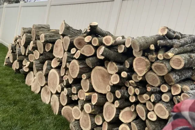 Stacked cut firewood logs beside a white building, with grass in the foreground.